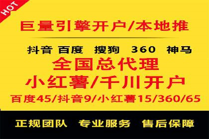 顶尖SEM竞价代运营公司案例分析